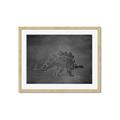 Picture of Geo Dino I Black  _GroupedProduct_Rectangle_Landscape_Mini_ _GroupedProduct_Rectangle_Landscape_Framed_Matted_