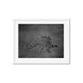 Picture of Geo Dino I Black  _GroupedProduct_Rectangle_Landscape_Mini_ _GroupedProduct_Rectangle_Landscape_Framed_Matted_