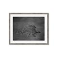 Picture of Geo Dino I Black  _GroupedProduct_Rectangle_Landscape_Mini_ _GroupedProduct_Rectangle_Landscape_Framed_Matted_