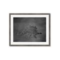 Picture of Geo Dino I Black  _GroupedProduct_Rectangle_Landscape_Mini_ _GroupedProduct_Rectangle_Landscape_Framed_Matted_