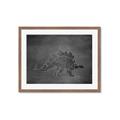 Picture of Geo Dino I Black  _GroupedProduct_Rectangle_Landscape_Mini_ _GroupedProduct_Rectangle_Landscape_Framed_Matted_