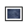 Picture of Geo Dino I  _GroupedProduct_Rectangle_Landscape_Mini_ _GroupedProduct_Rectangle_Landscape_Framed_Matted_