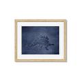 Picture of Geo Dino I  _GroupedProduct_Rectangle_Landscape_Mini_ _GroupedProduct_Rectangle_Landscape_Framed_Matted_