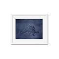Picture of Geo Dino I  _GroupedProduct_Rectangle_Landscape_Mini_ _GroupedProduct_Rectangle_Landscape_Framed_Matted_