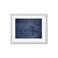 Picture of Geo Dino I  _GroupedProduct_Rectangle_Landscape_Mini_ _GroupedProduct_Rectangle_Landscape_Framed_Matted_