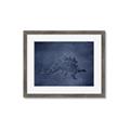 Picture of Geo Dino I  _GroupedProduct_Rectangle_Landscape_Mini_ _GroupedProduct_Rectangle_Landscape_Framed_Matted_