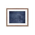 Picture of Geo Dino I  _GroupedProduct_Rectangle_Landscape_Mini_ _GroupedProduct_Rectangle_Landscape_Framed_Matted_