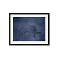 Picture of Geo Dino I  _GroupedProduct_Rectangle_Landscape_Mini_ _GroupedProduct_Rectangle_Landscape_Framed_Matted_