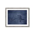 Picture of Geo Dino I  _GroupedProduct_Rectangle_Landscape_Mini_ _GroupedProduct_Rectangle_Landscape_Framed_Matted_