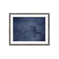 Picture of Geo Dino I  _GroupedProduct_Rectangle_Landscape_Mini_ _GroupedProduct_Rectangle_Landscape_Framed_Matted_