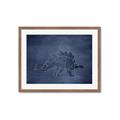 Picture of Geo Dino I  _GroupedProduct_Rectangle_Landscape_Mini_ _GroupedProduct_Rectangle_Landscape_Framed_Matted_