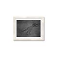 Picture of Geo Dino IV Black  _GroupedProduct_Rectangle_Landscape_Mini_ _GroupedProduct_Rectangle_Landscape_Framed_Matted_