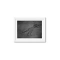 Picture of Geo Dino IV Black  _GroupedProduct_Rectangle_Landscape_Mini_ _GroupedProduct_Rectangle_Landscape_Framed_Matted_
