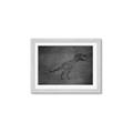 Picture of Geo Dino IV Black  _GroupedProduct_Rectangle_Landscape_Mini_ _GroupedProduct_Rectangle_Landscape_Framed_Matted_