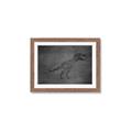 Picture of Geo Dino IV Black  _GroupedProduct_Rectangle_Landscape_Mini_ _GroupedProduct_Rectangle_Landscape_Framed_Matted_