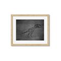 Picture of Geo Dino IV Black  _GroupedProduct_Rectangle_Landscape_Mini_ _GroupedProduct_Rectangle_Landscape_Framed_Matted_