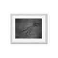 Picture of Geo Dino IV Black  _GroupedProduct_Rectangle_Landscape_Mini_ _GroupedProduct_Rectangle_Landscape_Framed_Matted_
