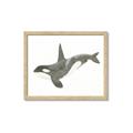 Picture of Orca Whale _GroupedProduct_Rectangle_Landscape_Mini_ _GroupedProduct_Rectangle_Landscape_Framed_Matted_