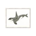 Picture of Orca Whale _GroupedProduct_Rectangle_Landscape_Mini_ _GroupedProduct_Rectangle_Landscape_Framed_Matted_