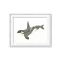 Picture of Orca Whale _GroupedProduct_Rectangle_Landscape_Mini_ _GroupedProduct_Rectangle_Landscape_Framed_Matted_