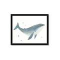 Picture of Blue Whale _GroupedProduct_Rectangle_Landscape_Mini_ _GroupedProduct_Rectangle_Landscape_Framed_Matted_