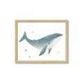 Picture of Blue Whale _GroupedProduct_Rectangle_Landscape_Mini_ _GroupedProduct_Rectangle_Landscape_Framed_Matted_