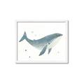 Picture of Blue Whale _GroupedProduct_Rectangle_Landscape_Mini_ _GroupedProduct_Rectangle_Landscape_Framed_Matted_