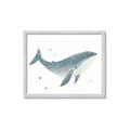 Picture of Blue Whale _GroupedProduct_Rectangle_Landscape_Mini_ _GroupedProduct_Rectangle_Landscape_Framed_Matted_