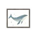 Picture of Blue Whale _GroupedProduct_Rectangle_Landscape_Mini_ _GroupedProduct_Rectangle_Landscape_Framed_Matted_