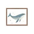 Picture of Blue Whale _GroupedProduct_Rectangle_Landscape_Mini_ _GroupedProduct_Rectangle_Landscape_Framed_Matted_