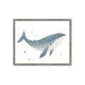 Picture of Blue Whale _GroupedProduct_Rectangle_Landscape_Mini_ _GroupedProduct_Rectangle_Landscape_Framed_Matted_