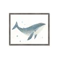 Picture of Blue Whale _GroupedProduct_Rectangle_Landscape_Mini_ _GroupedProduct_Rectangle_Landscape_Framed_Matted_