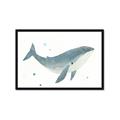 Picture of Blue Whale _GroupedProduct_Rectangle_Landscape_Mini_ _GroupedProduct_Rectangle_Landscape_Framed_Matted_