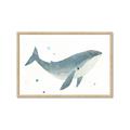 Picture of Blue Whale _GroupedProduct_Rectangle_Landscape_Mini_ _GroupedProduct_Rectangle_Landscape_Framed_Matted_