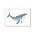 Picture of Blue Whale _GroupedProduct_Rectangle_Landscape_Mini_ _GroupedProduct_Rectangle_Landscape_Framed_Matted_