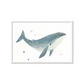 Picture of Blue Whale _GroupedProduct_Rectangle_Landscape_Mini_ _GroupedProduct_Rectangle_Landscape_Framed_Matted_