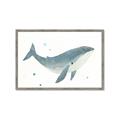 Picture of Blue Whale _GroupedProduct_Rectangle_Landscape_Mini_ _GroupedProduct_Rectangle_Landscape_Framed_Matted_