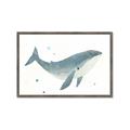 Picture of Blue Whale _GroupedProduct_Rectangle_Landscape_Mini_ _GroupedProduct_Rectangle_Landscape_Framed_Matted_