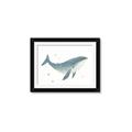 Picture of Blue Whale _GroupedProduct_Rectangle_Landscape_Mini_ _GroupedProduct_Rectangle_Landscape_Framed_Matted_