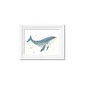 Picture of Blue Whale _GroupedProduct_Rectangle_Landscape_Mini_ _GroupedProduct_Rectangle_Landscape_Framed_Matted_