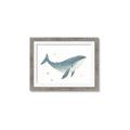 Picture of Blue Whale _GroupedProduct_Rectangle_Landscape_Mini_ _GroupedProduct_Rectangle_Landscape_Framed_Matted_