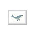 Picture of Blue Whale _GroupedProduct_Rectangle_Landscape_Mini_ _GroupedProduct_Rectangle_Landscape_Framed_Matted_