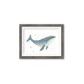 Picture of Blue Whale _GroupedProduct_Rectangle_Landscape_Mini_ _GroupedProduct_Rectangle_Landscape_Framed_Matted_