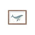 Picture of Blue Whale _GroupedProduct_Rectangle_Landscape_Mini_ _GroupedProduct_Rectangle_Landscape_Framed_Matted_