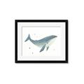 Picture of Blue Whale _GroupedProduct_Rectangle_Landscape_Mini_ _GroupedProduct_Rectangle_Landscape_Framed_Matted_