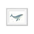 Picture of Blue Whale _GroupedProduct_Rectangle_Landscape_Mini_ _GroupedProduct_Rectangle_Landscape_Framed_Matted_