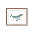Picture of Blue Whale _GroupedProduct_Rectangle_Landscape_Mini_ _GroupedProduct_Rectangle_Landscape_Framed_Matted_