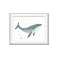 Picture of Blue Whale _GroupedProduct_Rectangle_Landscape_Mini_ _GroupedProduct_Rectangle_Landscape_Framed_Matted_