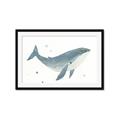 Picture of Blue Whale _GroupedProduct_Rectangle_Landscape_Mini_ _GroupedProduct_Rectangle_Landscape_Framed_Matted_