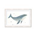 Picture of Blue Whale _GroupedProduct_Rectangle_Landscape_Mini_ _GroupedProduct_Rectangle_Landscape_Framed_Matted_